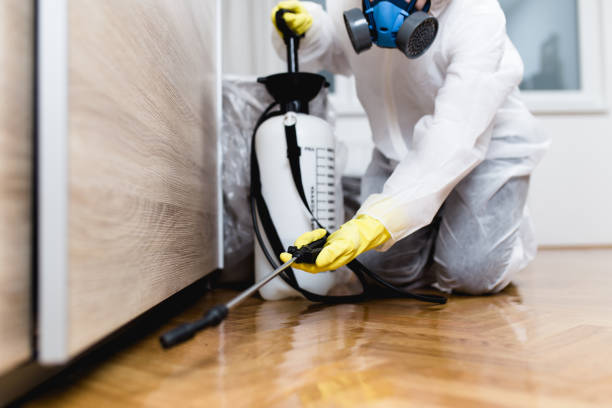 Best Pest Inspection Near Me  in Unt Vernon, MO