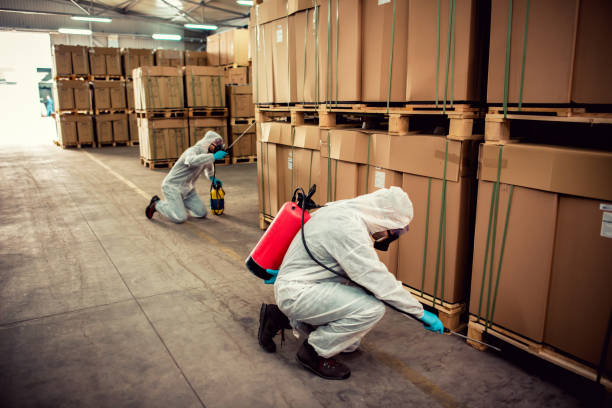 Best Cockroach Control Services  in Unt Vernon, MO