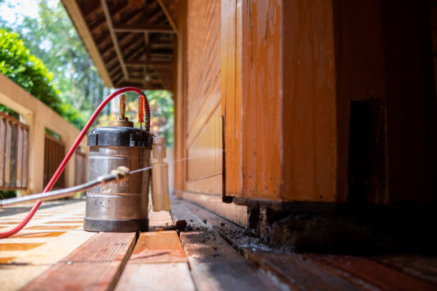 Best Ant Control Services  in Unt Vernon, MO