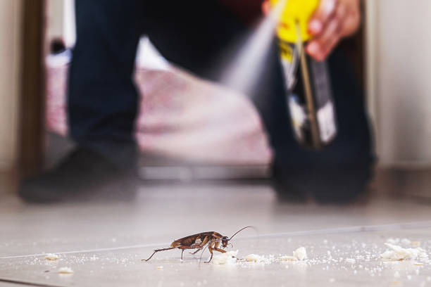 Best Residential Pest Control  in Unt Vernon, MO